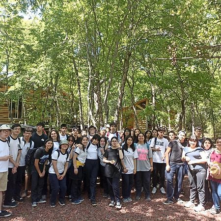 Cabanas Huilipan Las Trancas Eksteriør bilde