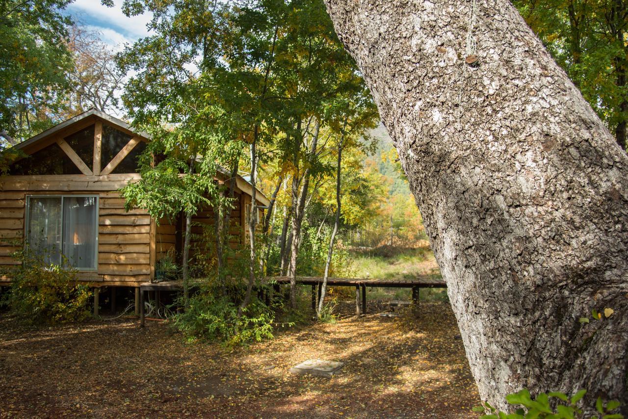 Cabanas Huilipan Las Trancas Eksteriør bilde
